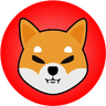 Shiba Inu