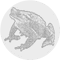dao5