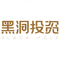 Black Hole Capital